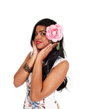 A beautiful smiling Indian woman with long black hair holding a pink rose.to her face, isolated for white background..