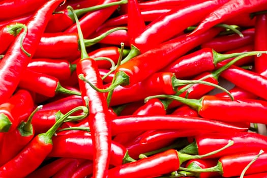 Photo of background red hot chili peppers