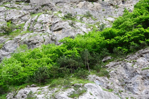 Image of colorful roughness gritty mountain wall