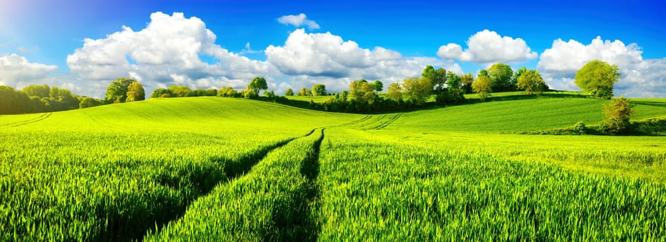 Panoramic landscape with idyllic vast green fields on hills,vibrant blue sky and fluffy white clouds