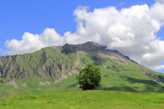 Image of beautiful landscape with green tree