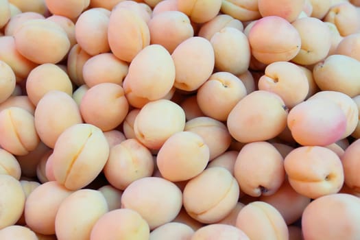 Image of the background yellow ripe apricots
