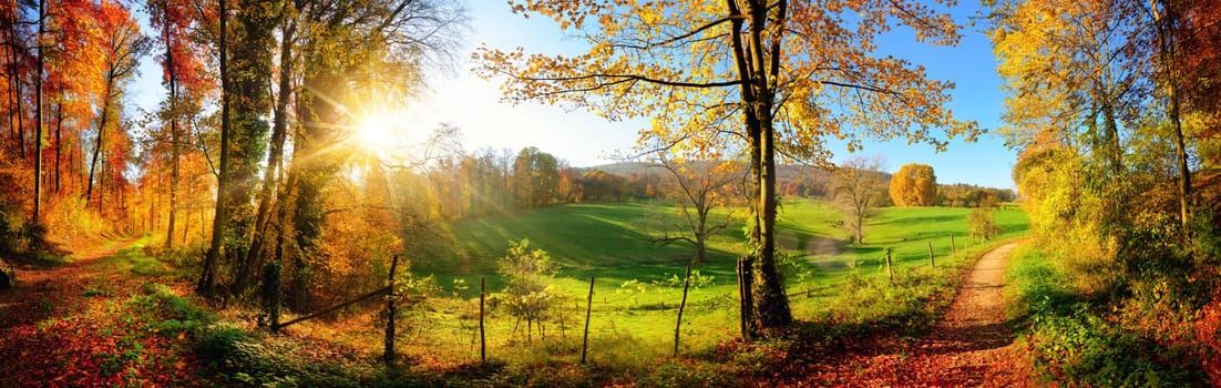 Gorgeous landscape panorama showing a meadow and a path leading into a forest,with autumn colors and blue sky