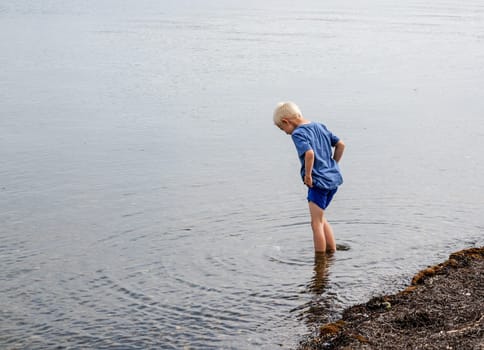 A little boy goes with his feet in the water on the beach and looking for clams and crabs