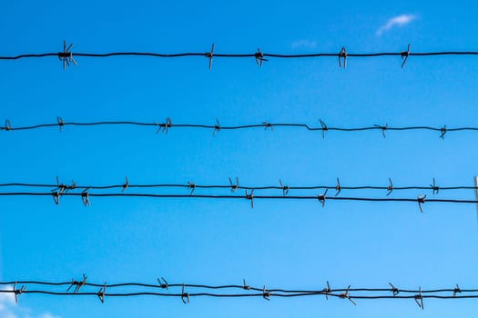 Barbed wire obstructs blue sky