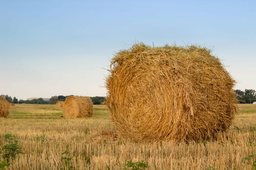 Dry hay stacks countryside field during harvest time