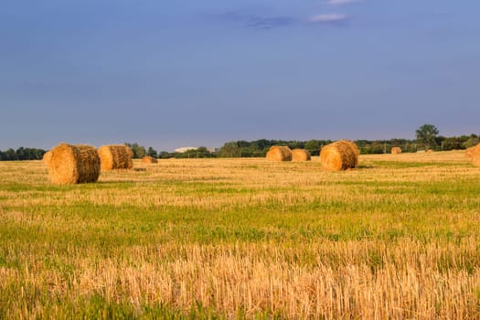 Dry hay stacks on sunset field during harvest time