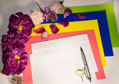 Flowers, envelope and pen on a white background