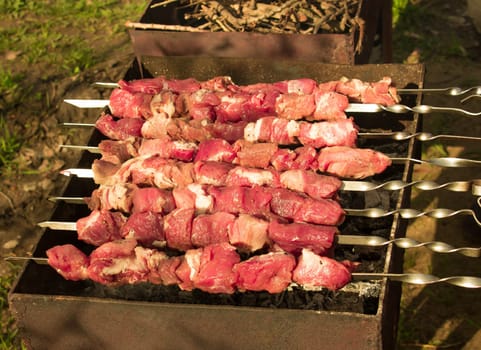 Crude shish kebab skewer on the grill