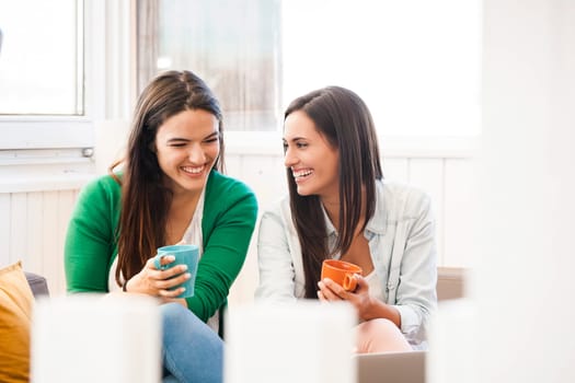 Female friends studying at the local coffee shop