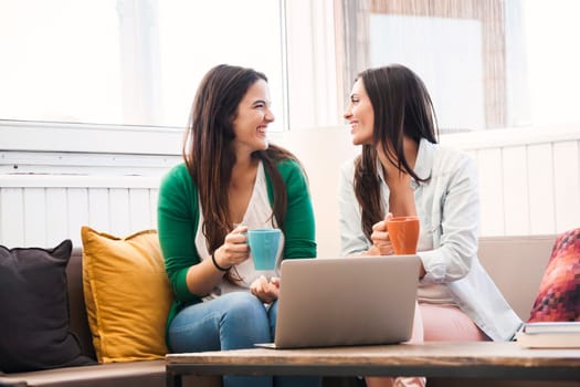 Female friends studying at the local coffee shop