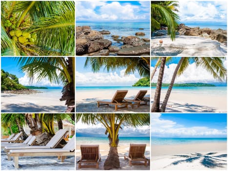 Photo collage of tropical beach with palm trees