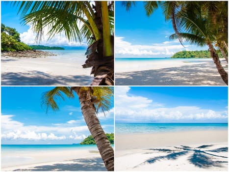 Photo collage of tropical beach with palm trees
