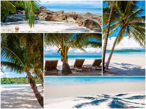 Photo collage of tropical beach with palm trees