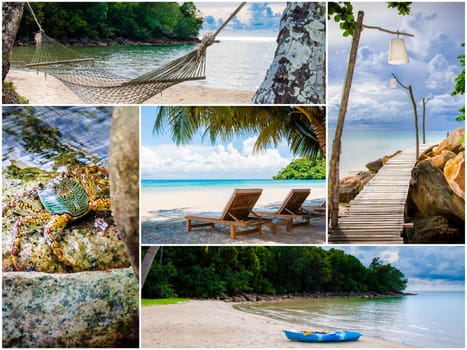 Photo collage of tropical beach with palm trees