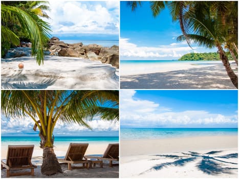 Photo collage of tropical beach with palm trees