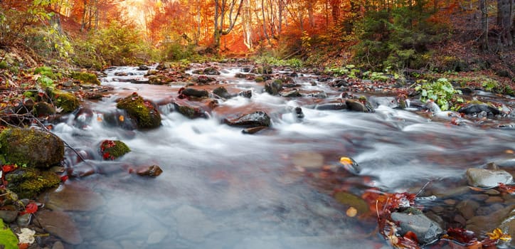 Autumn in the forest mountain stream. Beautiful autumn forest, rocks covered with moss. Mountain river with rapids and waterfalls. Carpathian.
