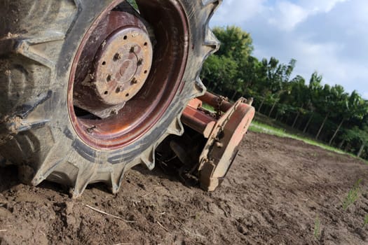 Tractor in a rice field