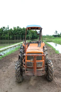 Tractor in a rice field