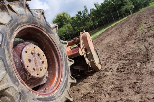 Tractor in a rice field