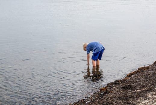 A little boy goes with his feet in the water on the beach and looking for clams and crabs