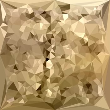 Low polygon style illustration of a french beige abstract geometric background.