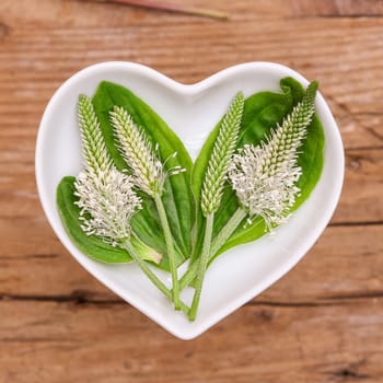Homeopathy and cooking with medicinal herbs,plantains