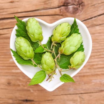 Homeopathy and cooking with medicinal herbs,hops