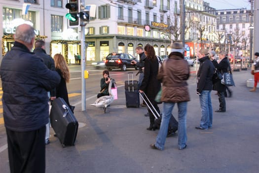 Zurich, Switzerland - November 25, 2011. Gus went on the road. People take pictures of goose