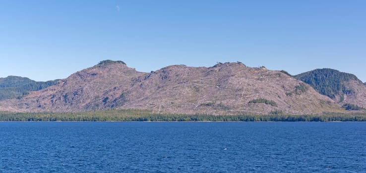 Clear Cutting on an Temperate Rain Forest Island in the Inside Passage of Alaska