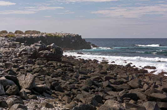 Rocky Coast on Espanola Island in the Galapagos