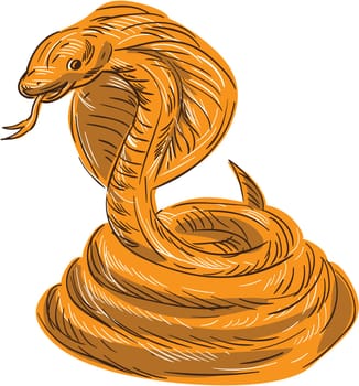 Drawing sketch style illustration of a cobra viper snake serpent coiled set on isolated white background.