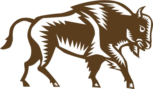 Illustration of an american bison buffalo bull viewed from the side set on isolated white background done in retro woodcut style.