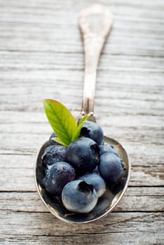 Juicy and fresh blueberries with green leaves on spoon close up