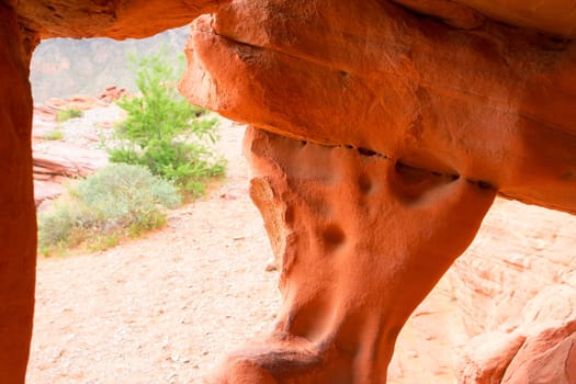Elephant Rock in Valley of Fire State Park, USA. Valley of Fire State Park is the oldest state park in Nevada, USA and was designated as a National Natural Landmark in 1968.