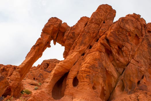 Elephant Rock in Valley of Fire State Park, USA. Valley of Fire State Park is the oldest state park in Nevada, USA and was designated as a National Natural Landmark in 1968.