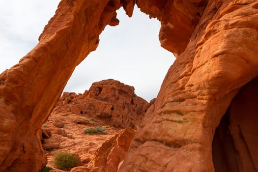 Elephant Rock in Valley of Fire State Park, USA. Valley of Fire State Park is the oldest state park in Nevada, USA and was designated as a National Natural Landmark in 1968.