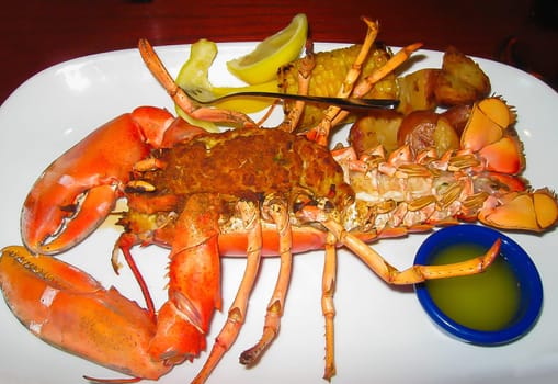Baked lobster with cheese on white plate