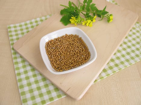 Mustard herb with flowers and mustard seeds