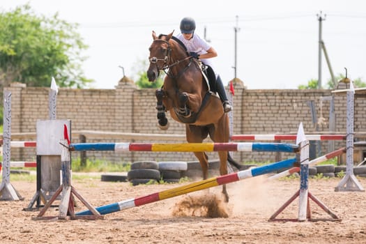 Volgograd, Russia - June 19, 2016: Athletes train a horse doing a jump through the barrier