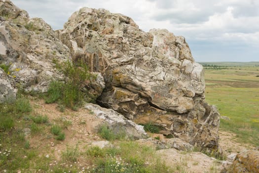 The fossils close-up on a mountain deep in Kamyshin Volgograd region