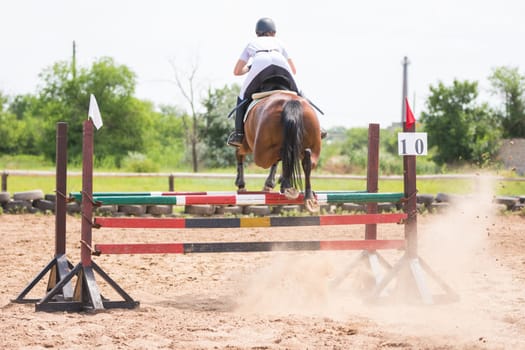 Volgograd, Russia - June 19, 2016: Back view of the sportsman on horse jumping over barrier