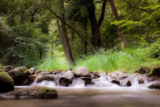 Water stream running over mossy rocks. Shoot with long exposure