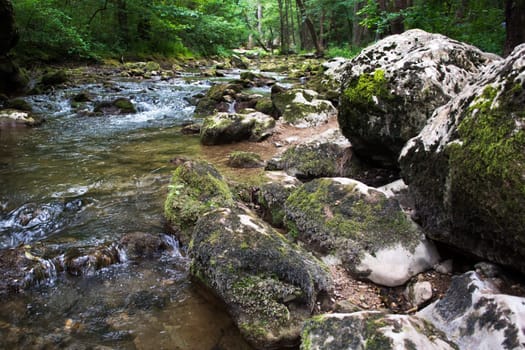 Water stream running over mossy rocks