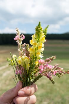 Female hand holding meadow bucket on blurry background