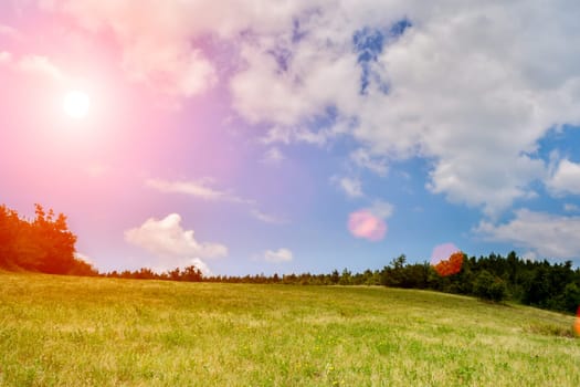 Beatifull grassfield with sunflares