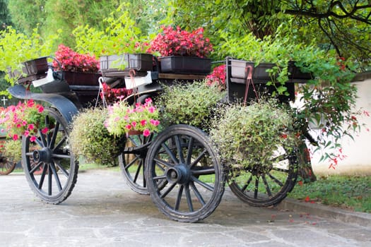 Old rustic wooden rural carriage with summer flowers in it