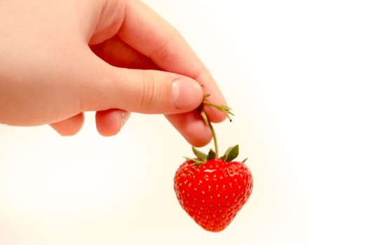 Child hand holding one strawberry on white background