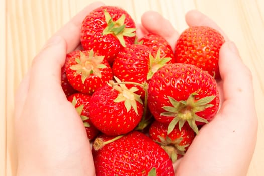 Child hands holding fresh strawberries