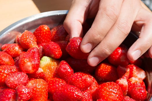 Hand picking strawberries from metal bowl